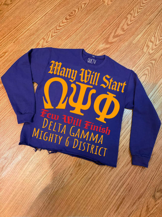 Delta Gamma crop crew neck