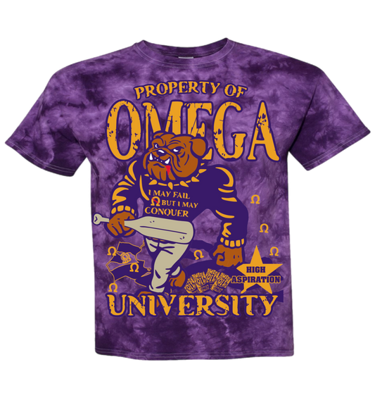 University Purple Garment
